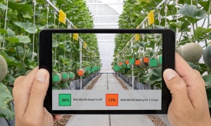 Agriculture 4.0 – The Future of Farming Technology